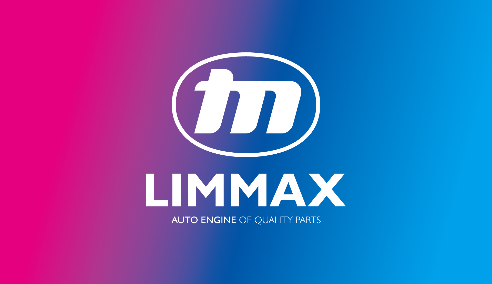 Limmax力脉汽配品牌LOGO_VI设计 20230902 通正设计提供-17