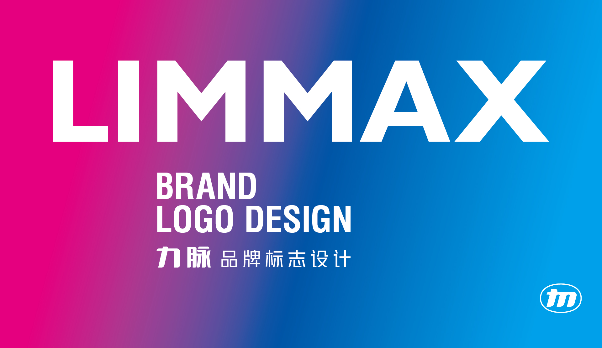 Limmax力脉汽配品牌LOGO_VI设计 20230902 通正设计提供-01